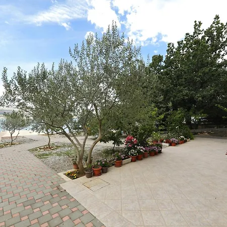 Rajna * Starigrad Paklenica
