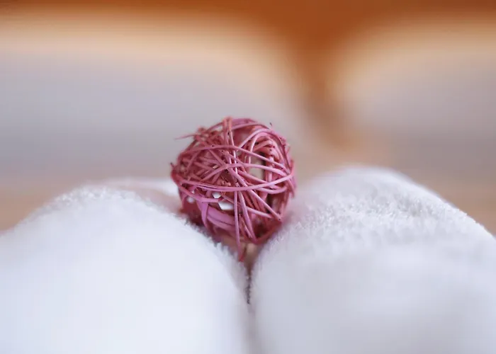 Appartamento Rajna *