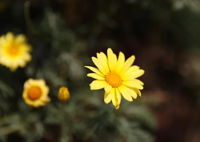 Rajna Appartamento Starigrad Paklenica